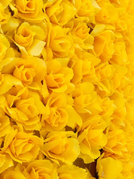 stock image Yellow rose background