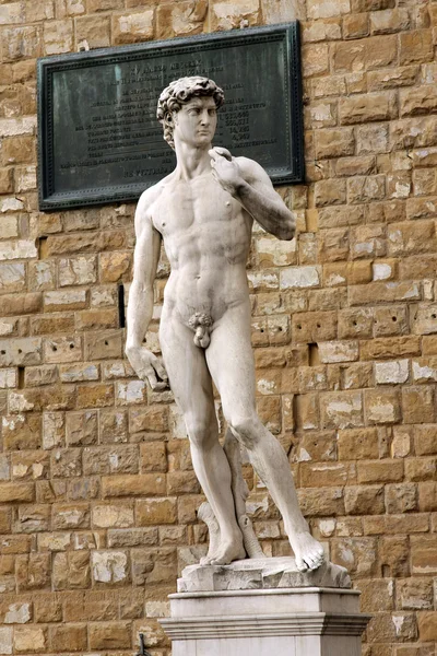 David, Piazza della Signoria, Florence — Stok fotoğraf