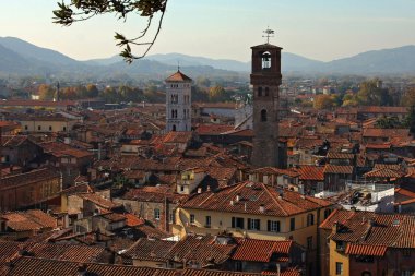 View of Lucca. Seen from the Tower of Guinigi clipart