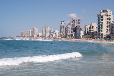 Tel-Aviv beech clipart