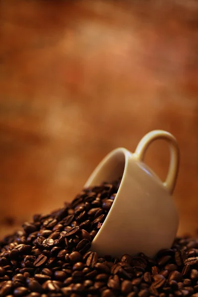 Кофейная чашка на жареных кофейных зерен — стоковое фото