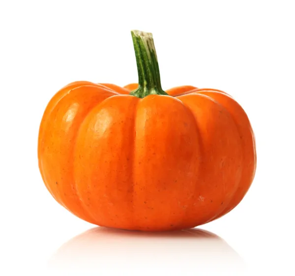 Pumpkin Stock Picture