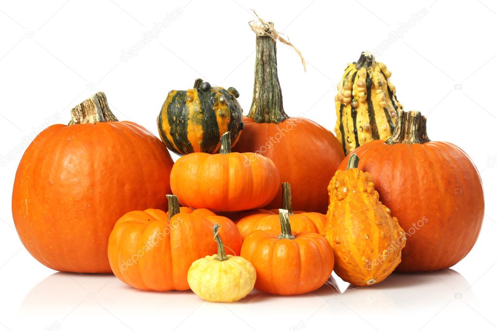 Pumpkins and gourds Stock Photo by ©SSilver 6578597