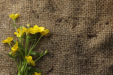 Pretty yellow flowers on burlap clipart