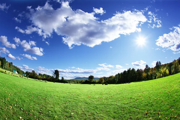 Pastos verdes y cielo azul brillante — Foto de Stock