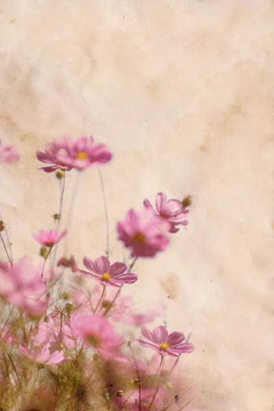 Зношена паперова текстура з квітами — стокове фото