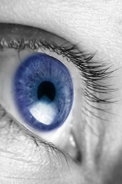 Ljusa blå ögon närbild — Stockfoto