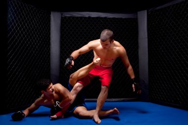 Mixed Martial Arts clipart