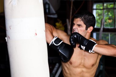 Fighter training in garage. clipart