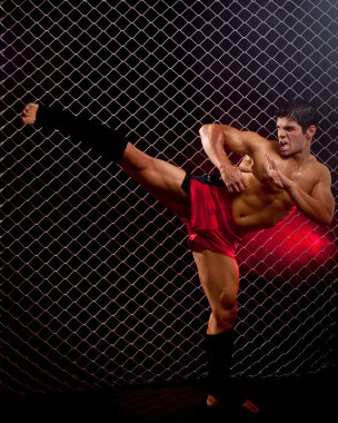 Mixed martial artist posed in front of chain link clipart