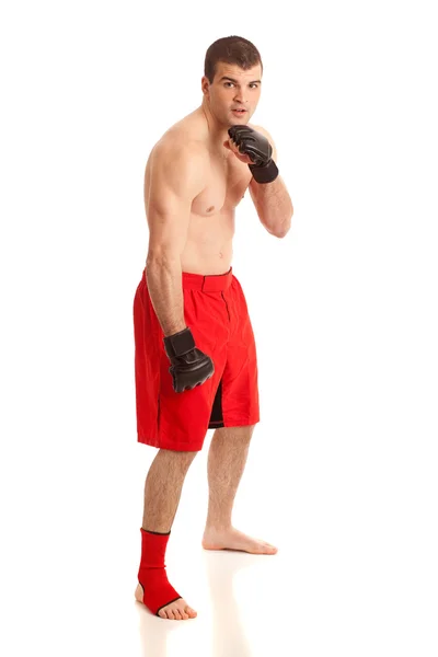 Mixed Martial Artist. Studioaufnahme über Weiß. — Stockfoto