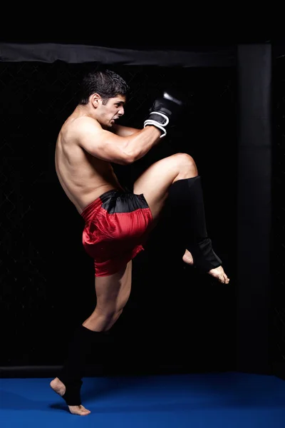 MMA przed walką — Zdjęcie stockowe