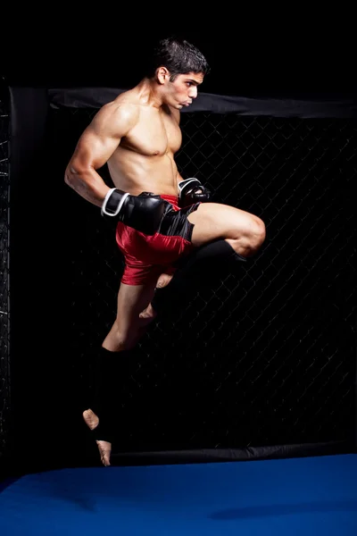 Mixed martial artist before a fight — Stock Photo, Image
