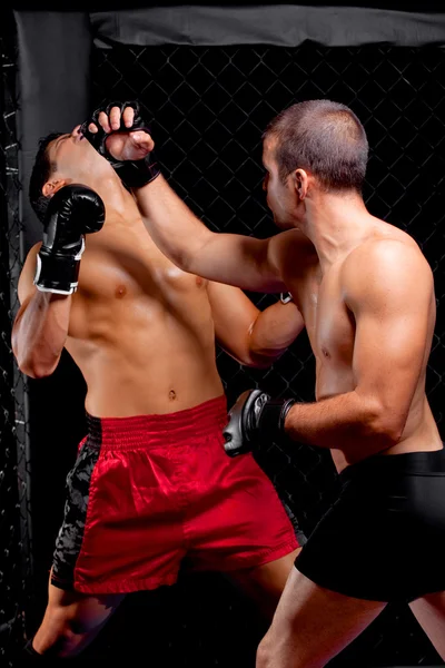 Mixed Martial Artists kämpfen - boxen — Stockfoto