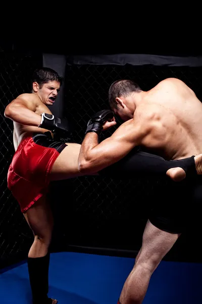 Mixed martial artists fighting - kicking — Stock Photo, Image