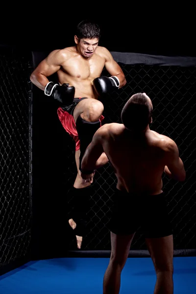 Artistas marciales mixtos luchando - golpe de rodilla — Foto de Stock