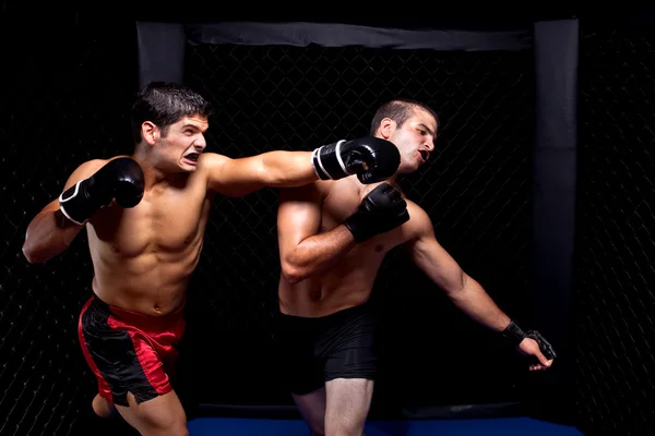 Mixed martial artists fighting - punching — Stock Photo, Image