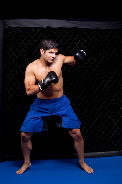 MMA przed walką — Zdjęcie stockowe