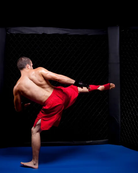 Змішаний бойовий художник перед бійкою — стокове фото