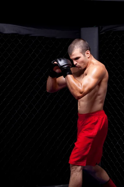 Mixed martial artist before a fight — Stock Photo, Image