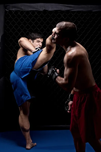 Artisti marziali misti che combattono — Foto Stock