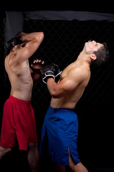 Artistas marciales mixtos luchando — Foto de Stock