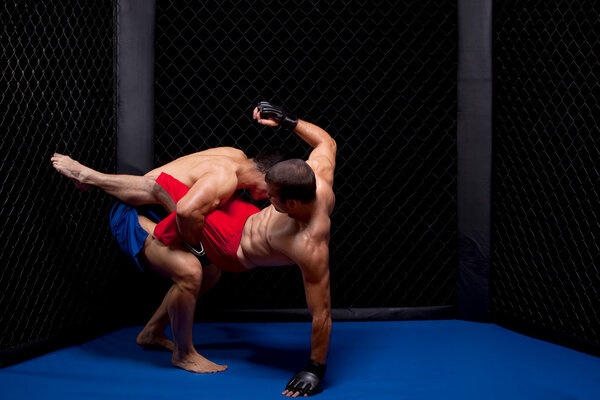 Mixed martial artists fighting