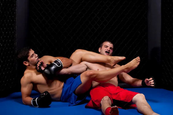 Mixed Martial Artists kämpfen — Stockfoto