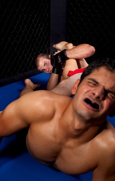 Mixed martial artists fighting — Stock Photo, Image