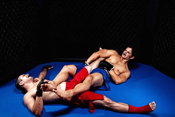 Vegyes harcművészet művészek harcok — Stock Fotó