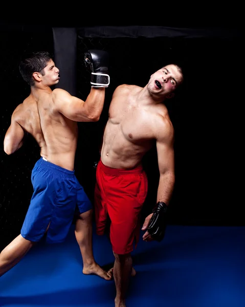 Artistas marciales mixtos luchando — Foto de Stock