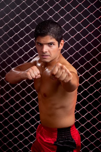 Mixed martial artiest gesteld voor keten link — Stockfoto