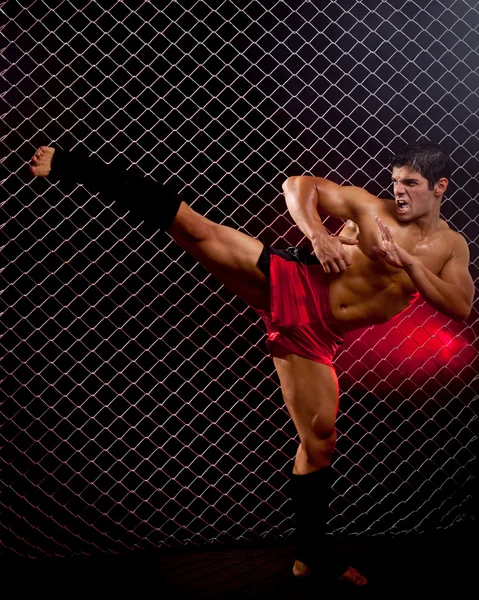 Mixed martial artiest gesteld voor keten link — Stockfoto
