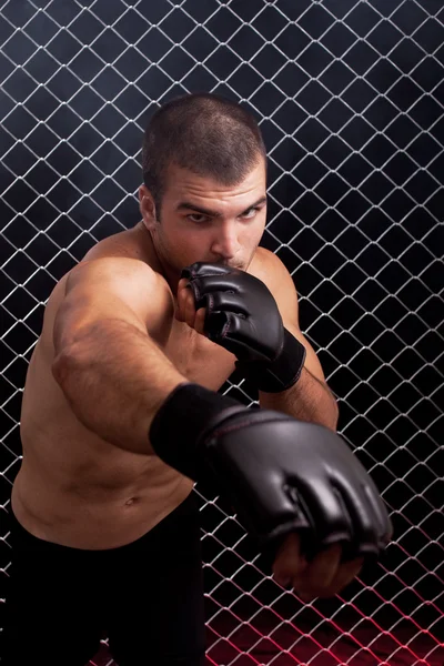MMA ze stawianymi przed łańcuszek — Zdjęcie stockowe