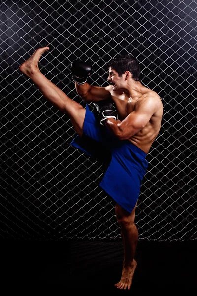 Mixed martial artist posed in front of chain link — Stock Photo, Image