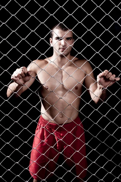 Mixed martial artist posed behind chain link — Stock Photo, Image