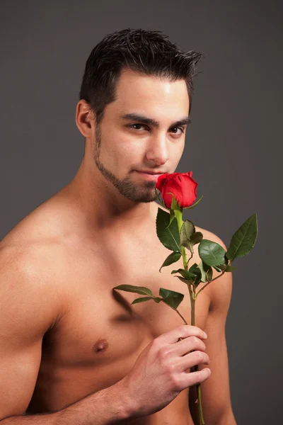 Homme attrayant torse nu avec une seule rose rouge . — Photo