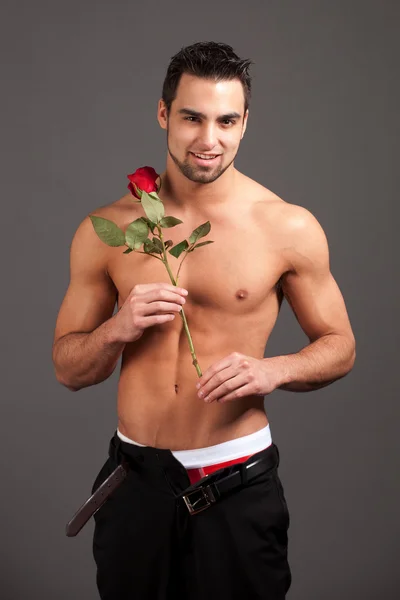 Attractive man shirtless with a single red rose. — Stock Photo, Image