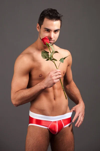 Uomo attraente in biancheria intima con una singola rosa rossa . — Foto Stock