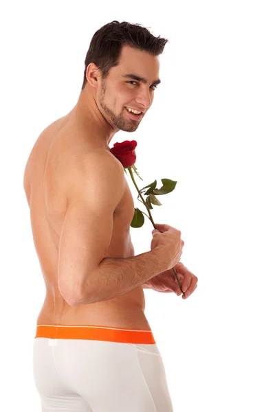Привлекательный мужчина в нижнем белье с одной красной розой . — стоковое фото