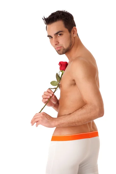 Uomo attraente in biancheria intima con una singola rosa rossa . — Foto Stock