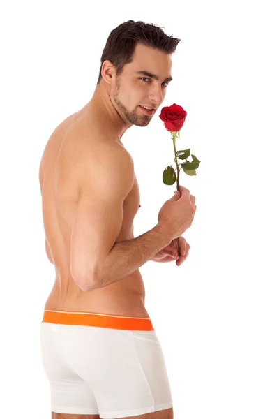 Attraktiver Mann in Unterwäsche mit einer einzigen roten Rose. — Stockfoto