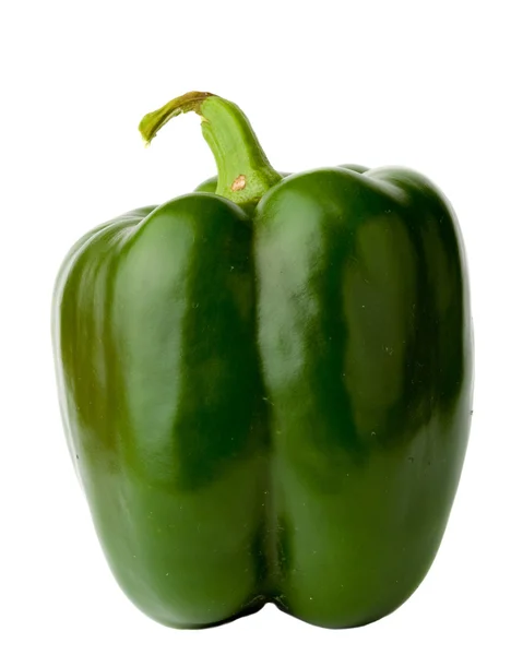 stock image Pepper