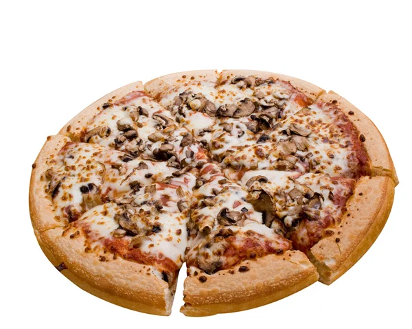 stock image Mushroom Pizza