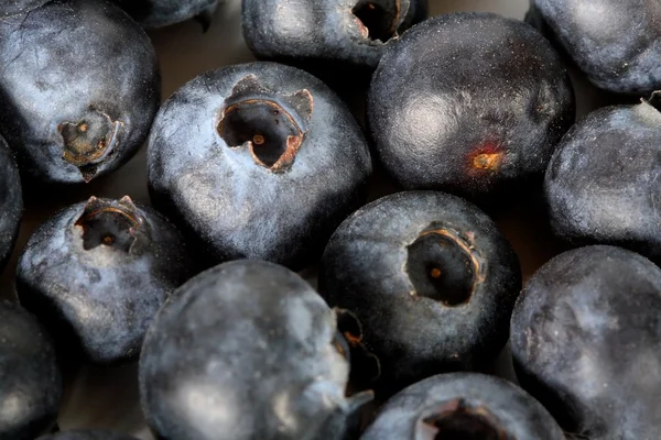 Stock image Blueberries