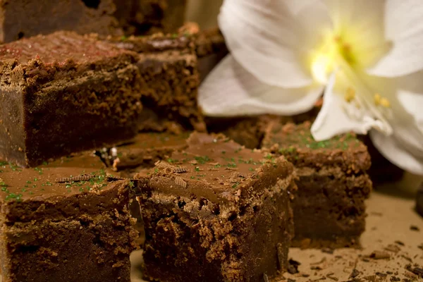 Stock image Chocolate Fudge Brownies