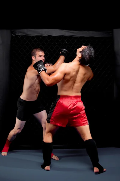 Mixed martial artists fighting - punching Stock Picture