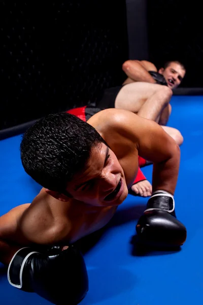 Mixed martial artists fighting - ground fighting Royalty Free Stock Photos