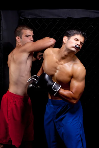 Mixed martial artists fighting Royalty Free Stock Photos