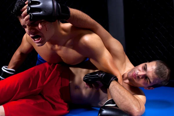 Mixed martial artists fighting Royalty Free Stock Images
